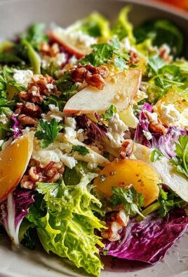 Chicorée-Salat